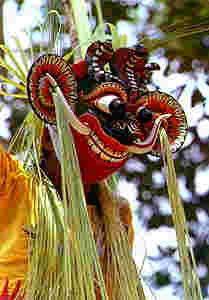 Sri Lanka Picture Archive 36